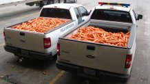 DHS-CBP Carrots Seized 01