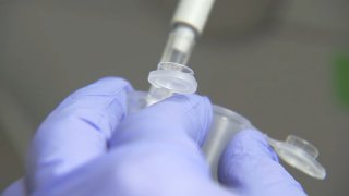DNA Test Lab Generic DNA