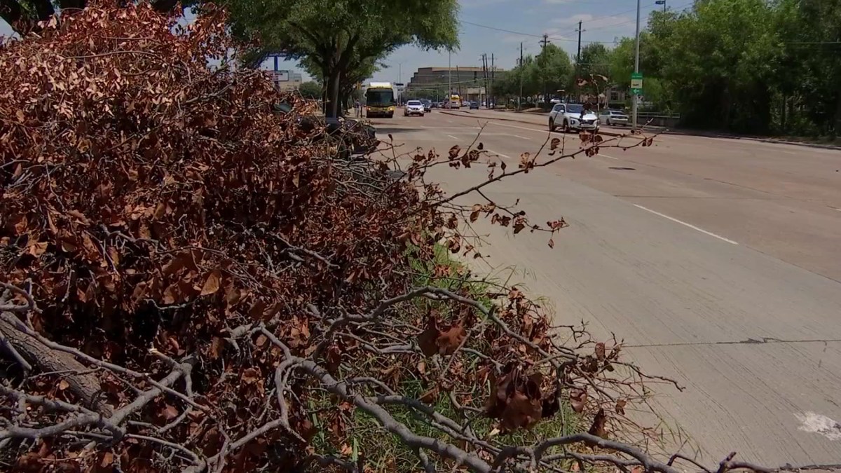 Dallas Bulk Trash Schedule to Resume in August NBC 5 DallasFort Worth