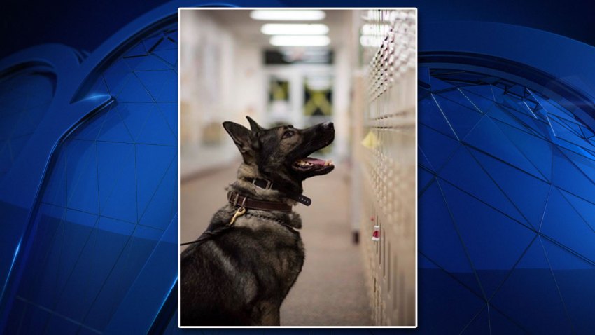 Dio-Plano-Police-K9-012719