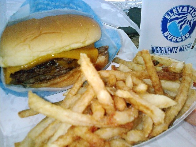 Elevation Burger