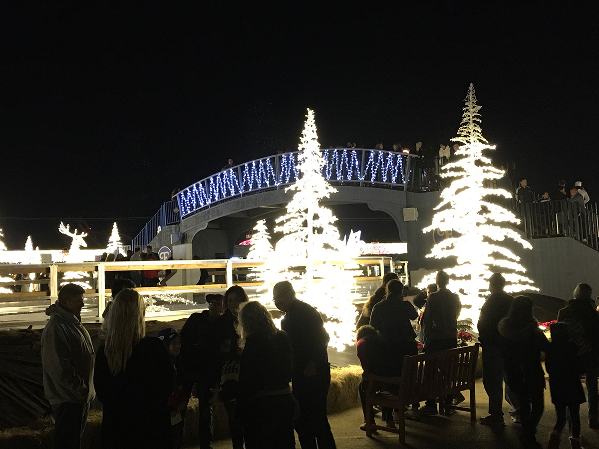 Arlington Christmas Weekend 2022 Enchant Christmas Opens in Arlington NBC 5 DallasFort Worth