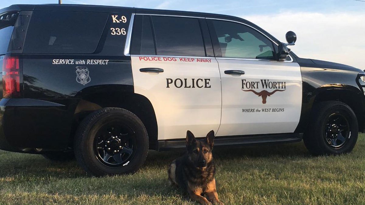 K9 Unit SW