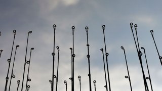 Fishing-Rods-Generic