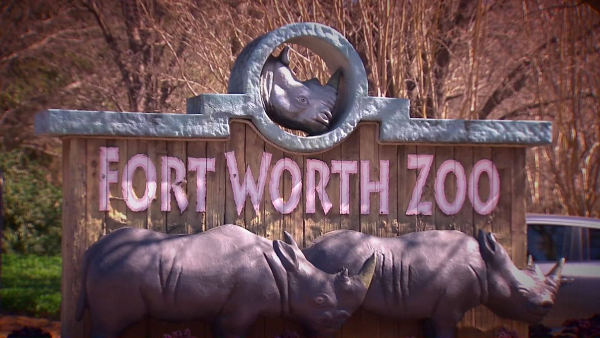 Fort Worth Zoo Receives Certified Autism Center Designation NBC 5