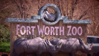 Neighbors Annoyed by Birthday Bash at FW Zoo Featuring Eddie Vedder & The Chainsmokers - NBC 5 Dallas-Fort Worth