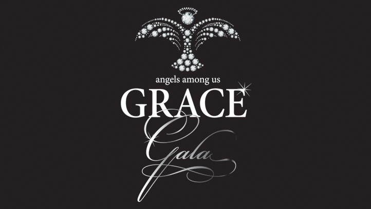 GRACE 2015vB