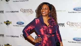 Actress Regina Taylor poses for photos during the 1st Annual Common Ground Foundation Gala at Hotel InterContinental in Chicago, Illinois on APR 16, 2011.