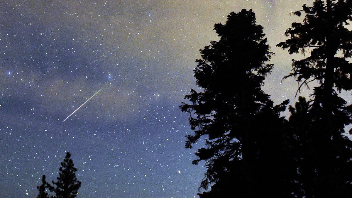 2020 Starts With Major Meteor Shower Visible From North Texas   NBC 5