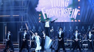 The cast of Young Frankenstein perform