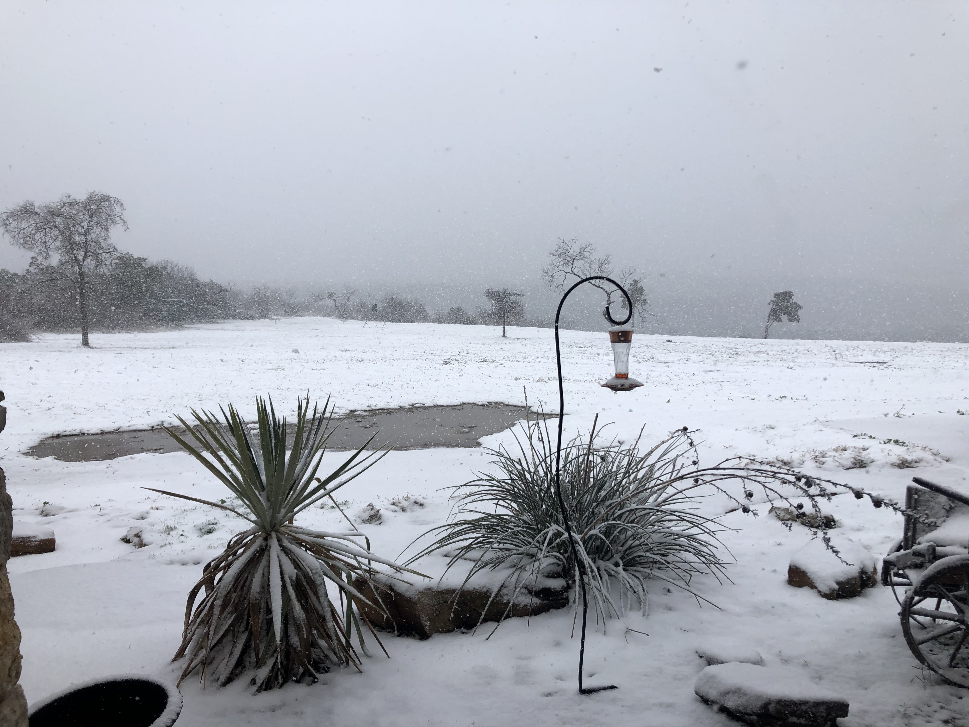 It’s still snowing in Graford, TX!! So pretty!!