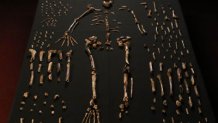 Homo-naledi-exposed---Credit-John-Hawks-Wits-University