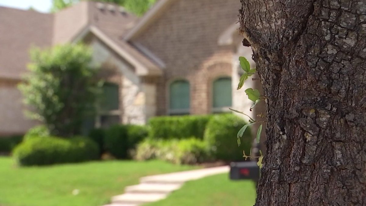 Foreclosures on the Rise Nationwide NBC 5 DallasFort Worth
