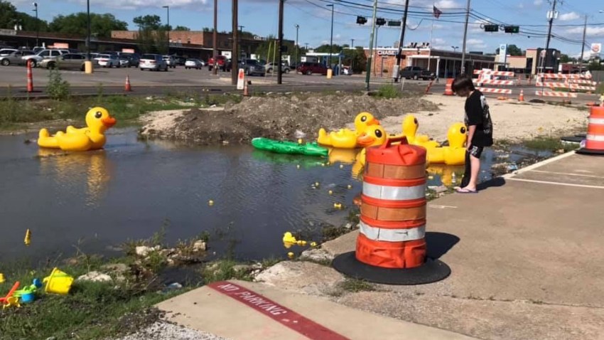 ducks duckies construction