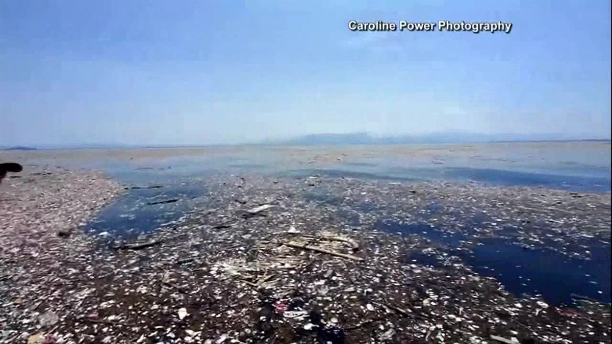 Islands of Trash Forming in Atlantic Ocean NBC 5 DallasFort Worth