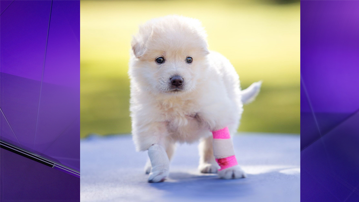 Https Www Nbcdfw Com News National International Kentucky Officer Killed Police Searching For Man Who Fled 2060447 2018 03 30t14 08 43 00 00 Https Media Nbcdfw Com 2019 09 The Fort Mission Hills Jpg Fit 1024 2c576 Https Www Nbcdfw Com