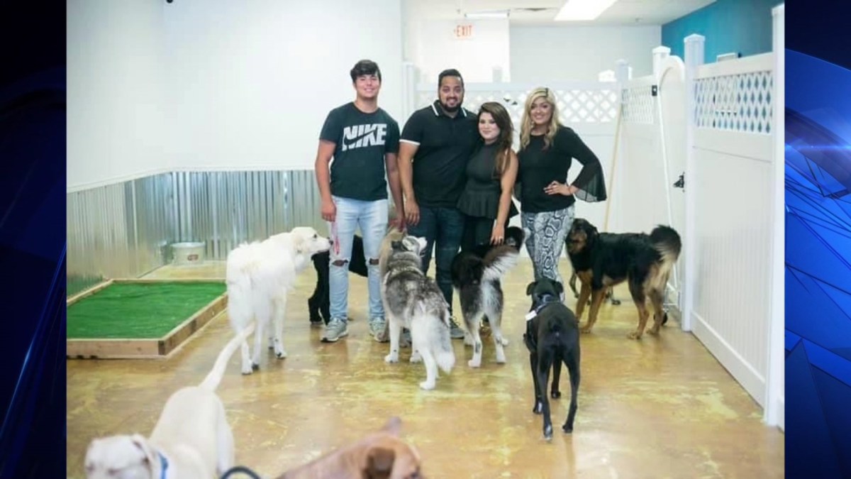 Dog Day Care Owners Evicted for Partial Rent Payment During COVID19 Shutdown NBC 5 Dallas