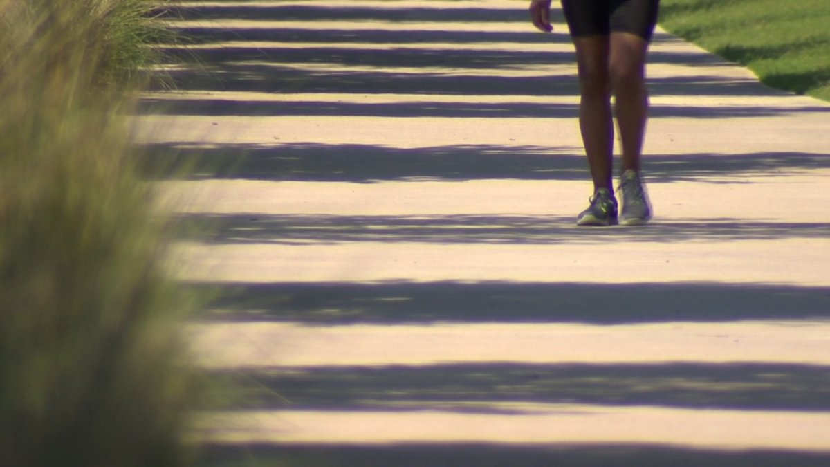 elm let loose jogger