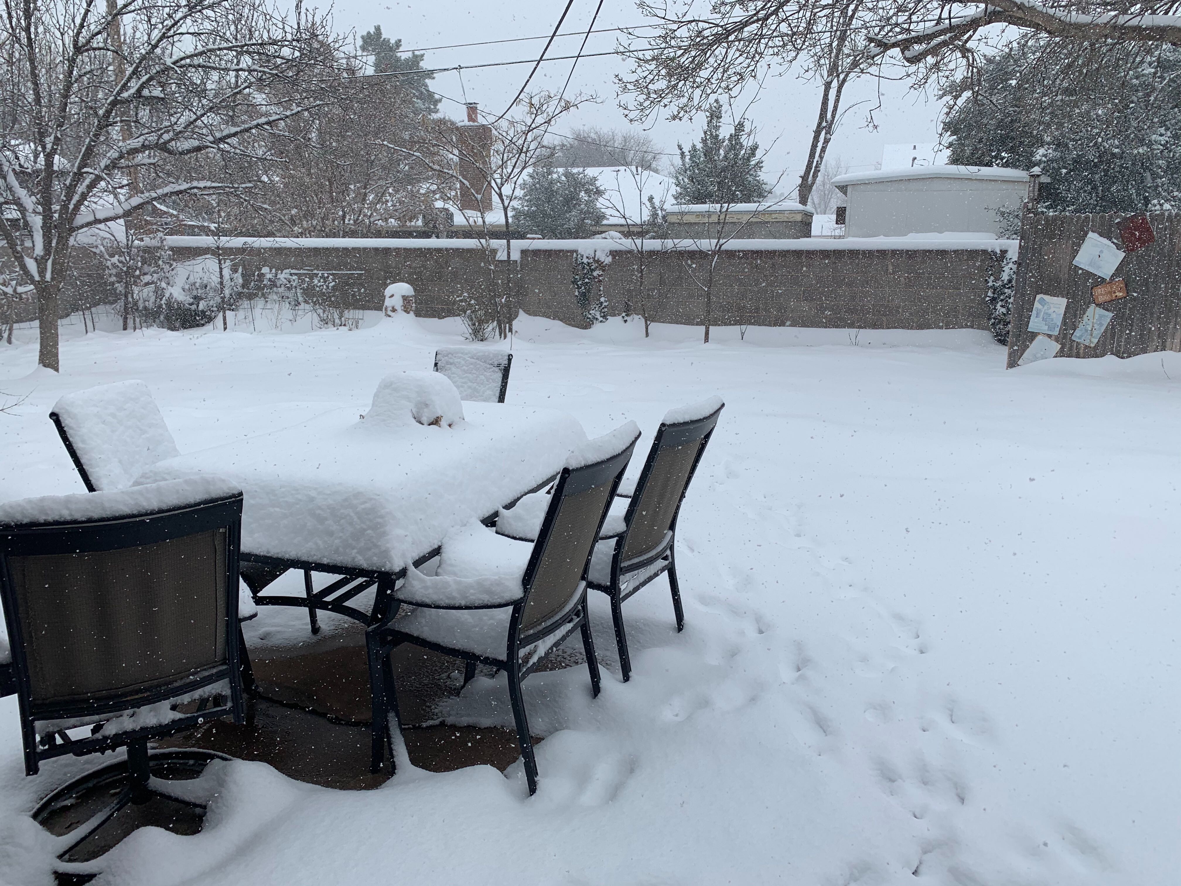 Photos Snow in Texas Feb. 5, 2020 NBC 5 DallasFort Worth