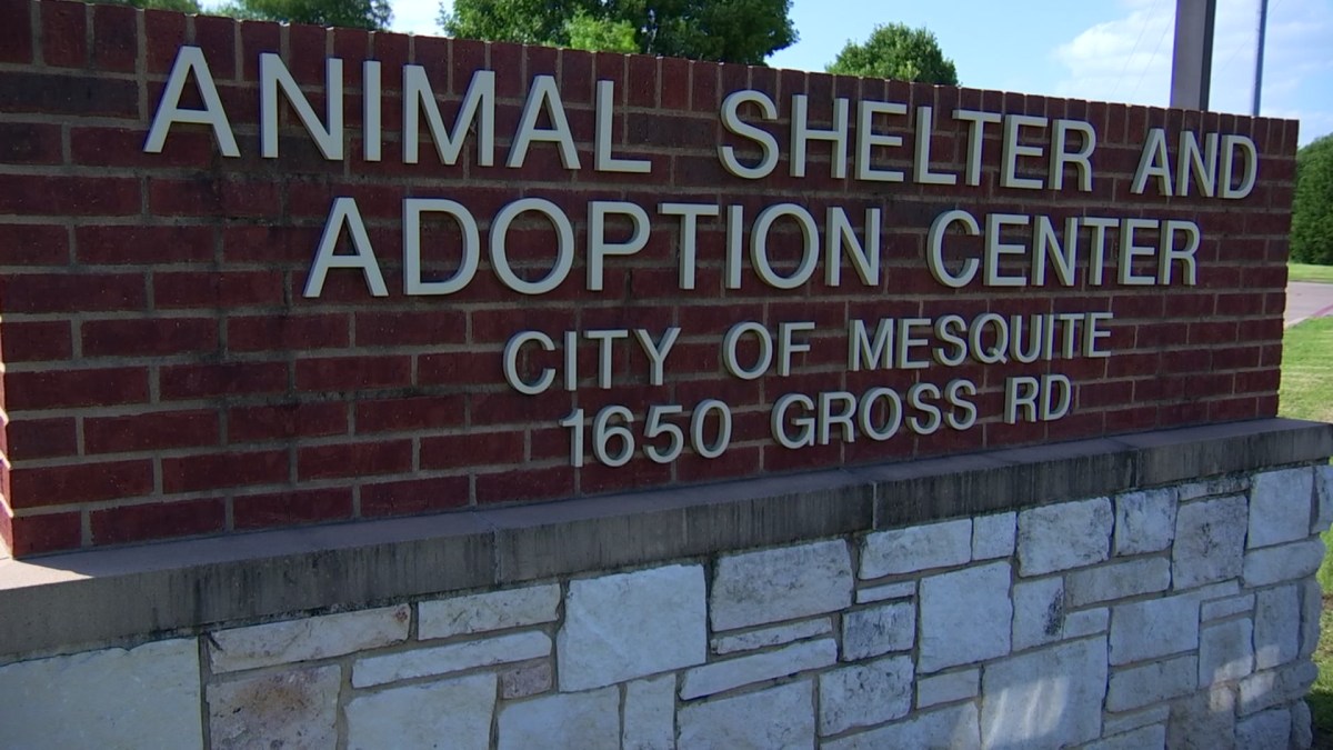Faulty Drug, Botched Euthanasias Lead to Review at Mesquite Animal