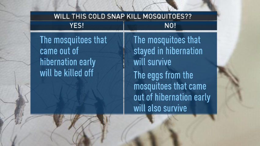Mosquitoes and Cold - Part 2