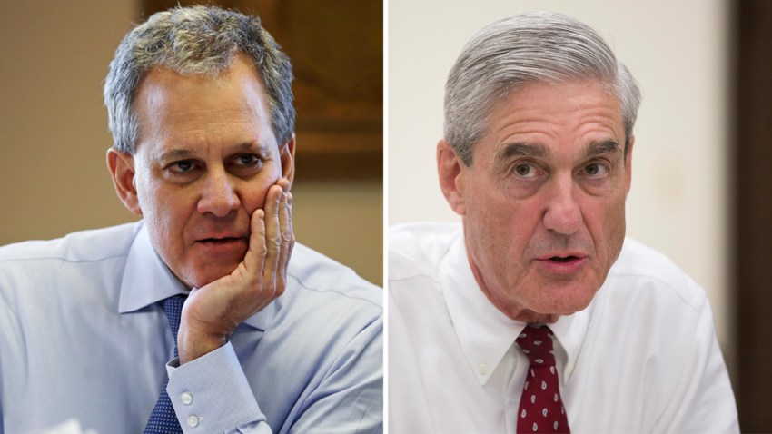 MuellerSchneidermanSplit