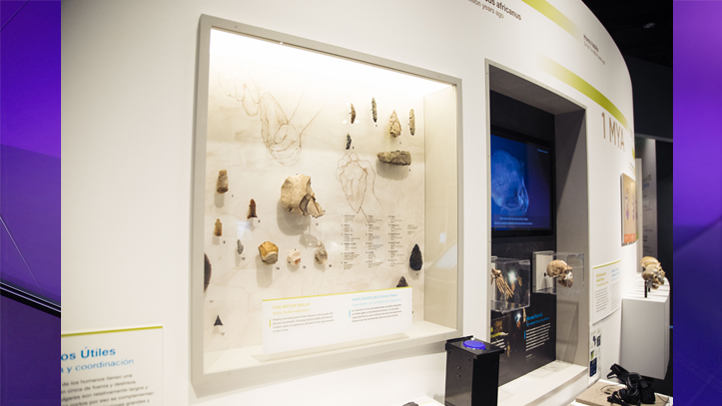 Perot - Stone Tool Case 2019