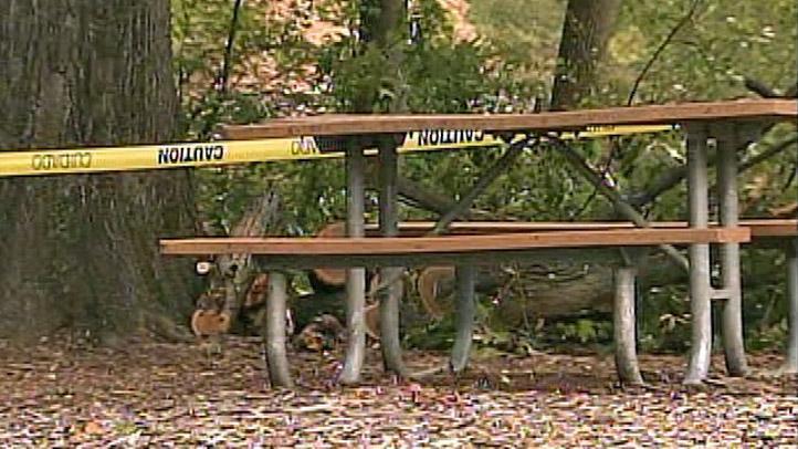 Picnic_Bench_PSU_Abington_Tree_Down_722x406_2102722597.jpg
