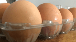 En algunos comercios los huevos están caros pero dentro del margen de ganancia, según DACO