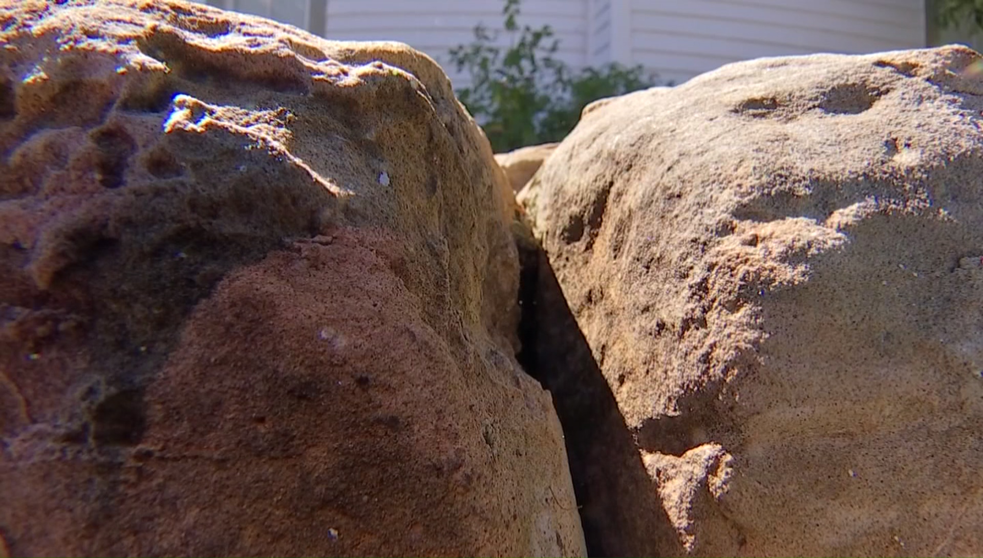 living earth rockwall living earth rockwall