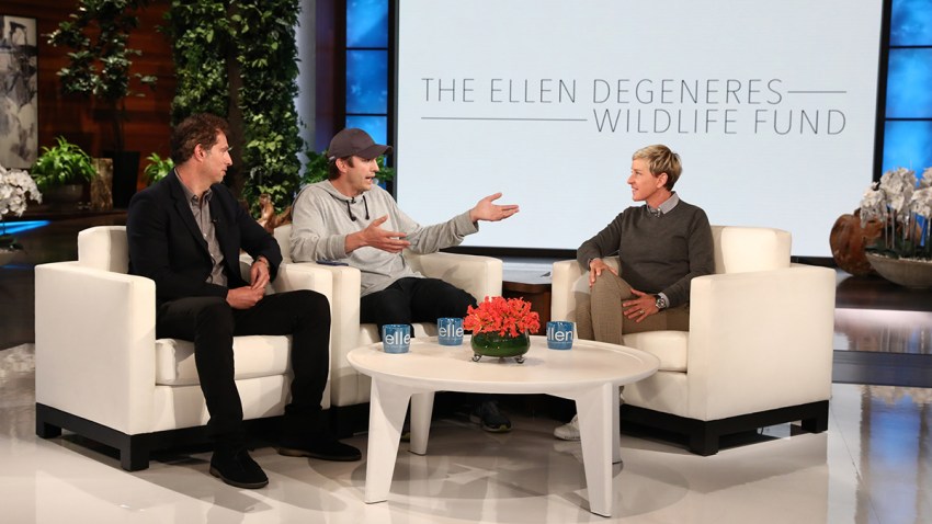 Ashton Kutcher Surprises Ellen Degeneres With A 4m Donation For