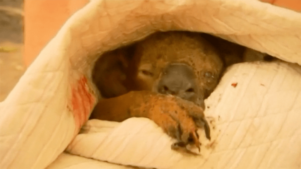 Https Www Nbcdfw Com News Sports Regional Wrap Up Big Game Friday Night Dallas Fort Worth 2258060 Regional Wrap Up Big Game Friday Night Pat Doney Wraps Up Some Of The Action From Friday Night S Regional Round Matchups Https Www Nbcdfw