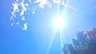Picture of the sun