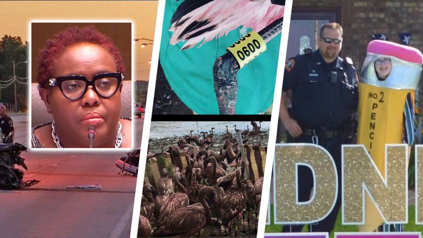 Sunday-digest19