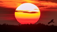 Aptopix Německo Summer Solstice