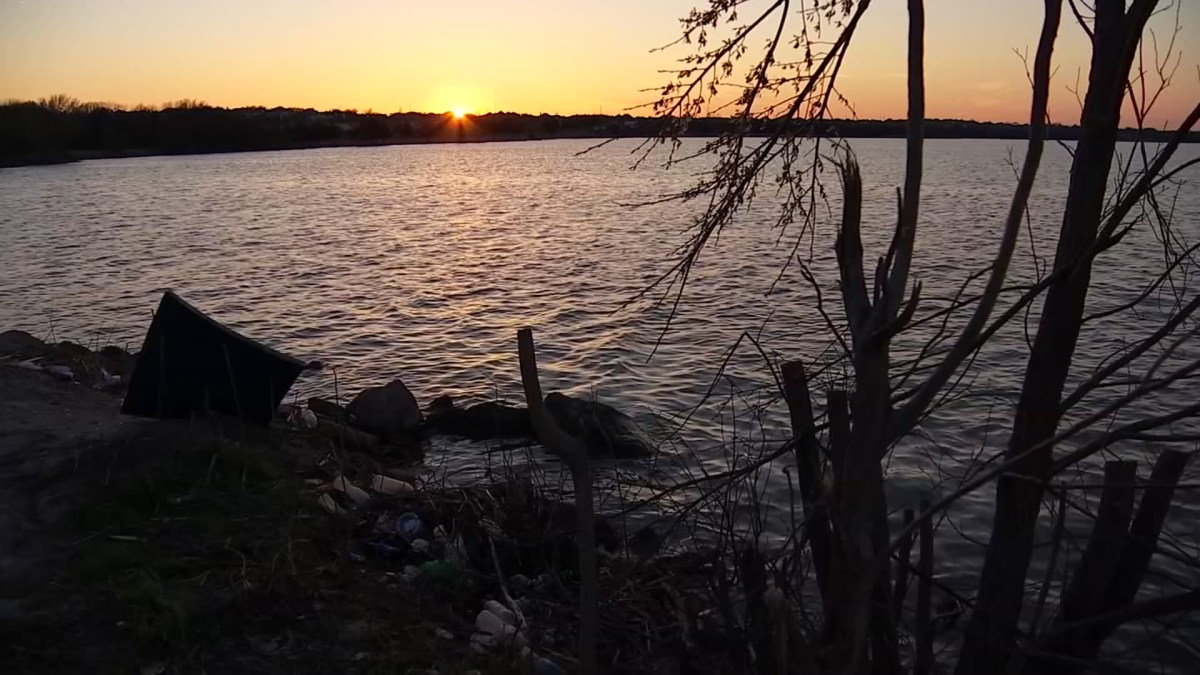 Gators Spotted at Lake Ray Hubbard? State Experts Wouldn’t Be Surprised