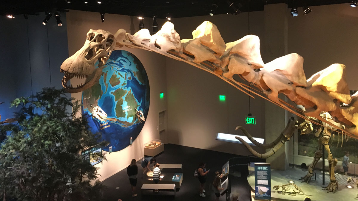 dino exhibits