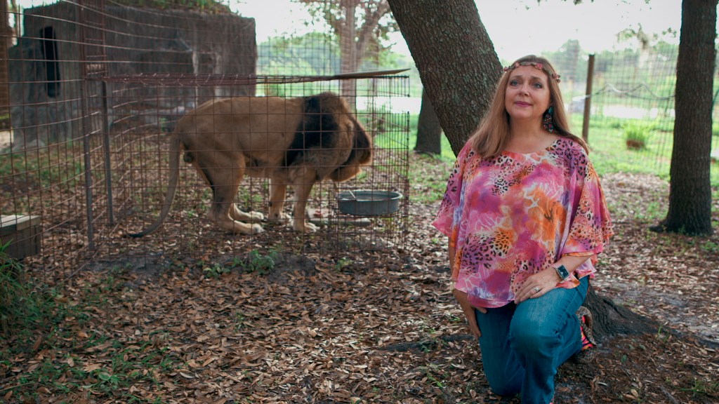 Carole Baskin as seen in a shot of Netflix's "Tiger King: Murder, Mayhem and Madness."