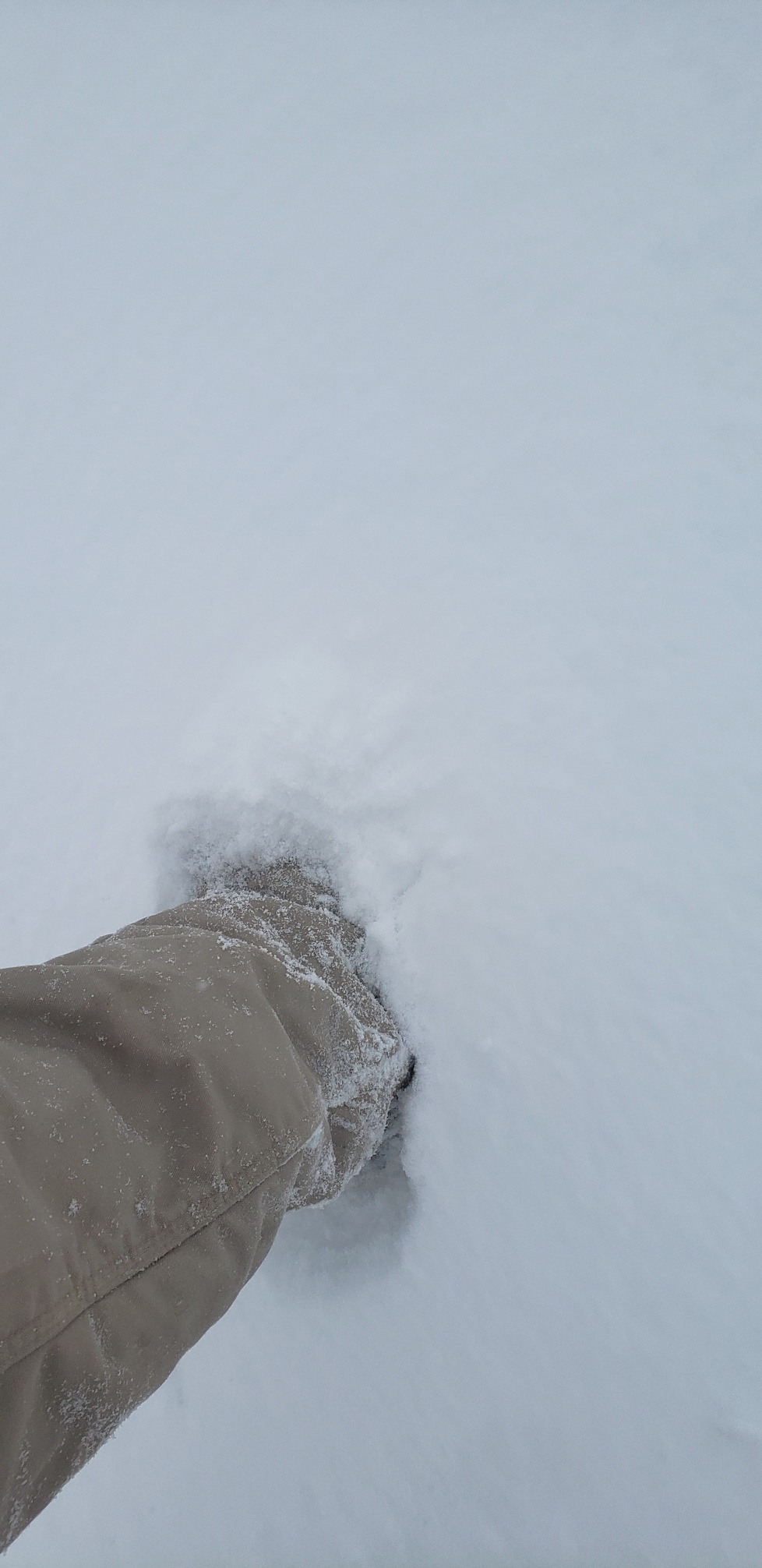 My husband Trevor who works in Midland sent these snow pictures about 10am this morning. So far they had about 8 inches and it continued until after noon  Really hoped we would have some snow in DFW