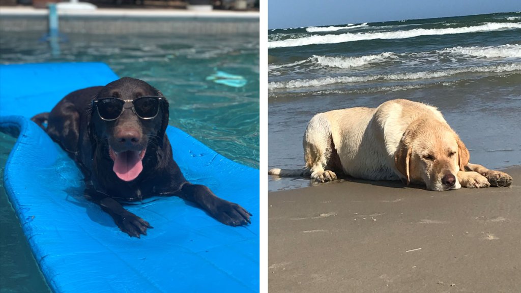 Https Www Nbcdfw Com Video Weather Nbc 5 Forecast Sunny Hot