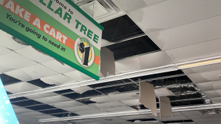 Dollar Tree Damaged