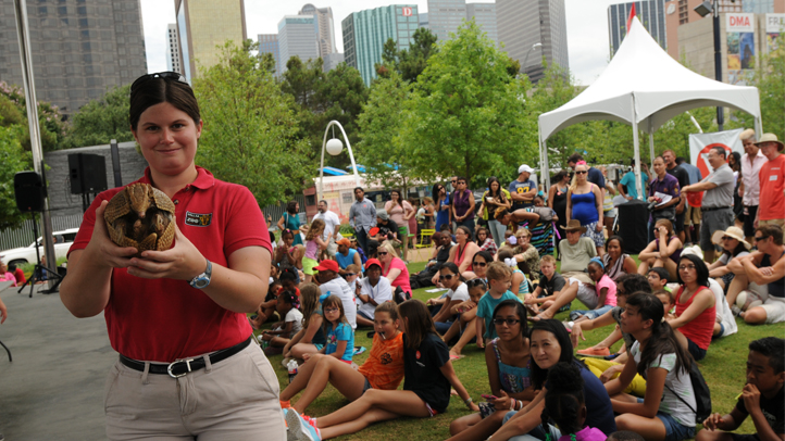 Voly in the Park 2016