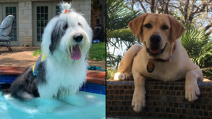 Https Www Nbcdfw Com Video Weather Nbc 5 Forecast Sunny Hot