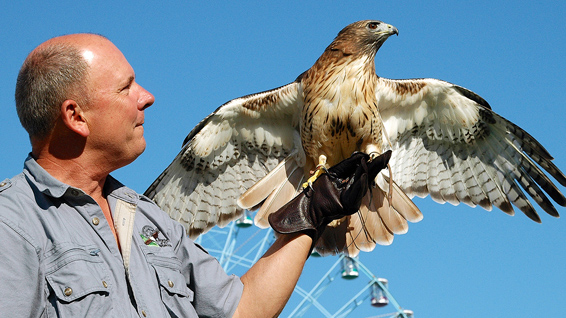 World of Birds