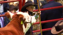 Ryder Day, 12, shows off his Hereford 'Cupid Shuffle'. The Grand Champion Steer sold Saturday for 0,000, the highest amount ever paid in the Junior Steer Competition.
