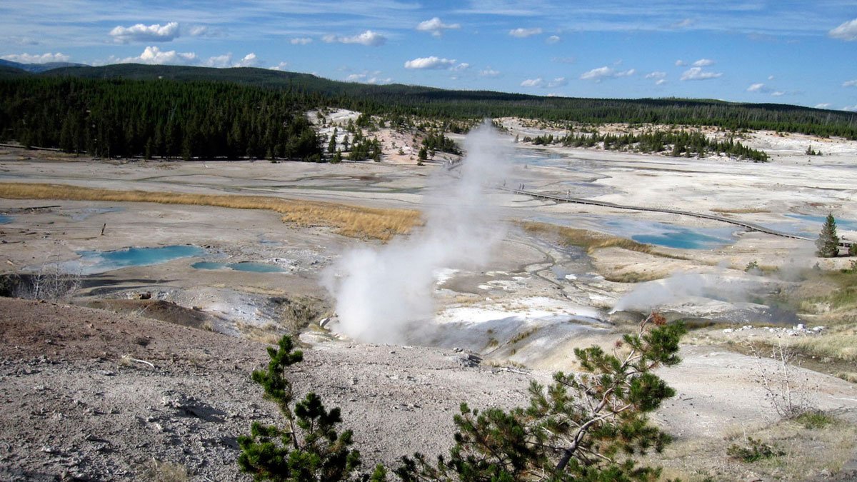 Yellowstone: Woman in Critical Condition After Trying to Save Dog From Hot Spring – NBC 5 Dallas-Fort Worth - Vimarsana News