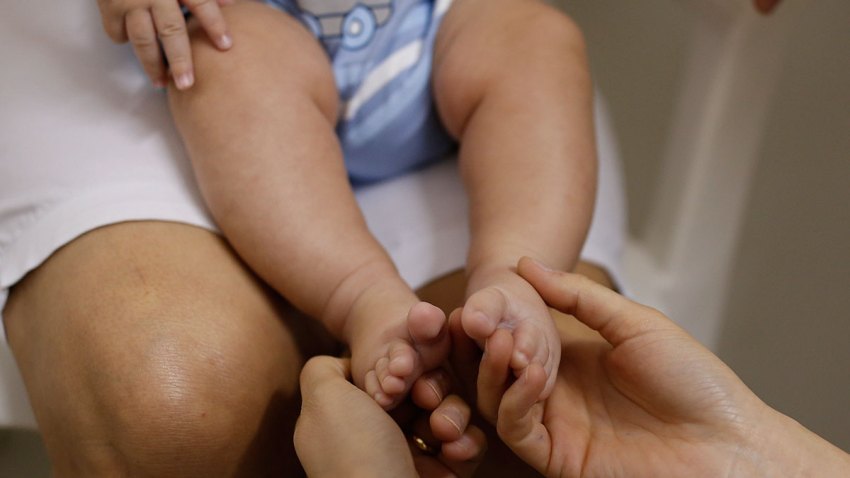 Brazil Zika CDC