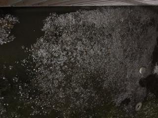 Oh hail no!