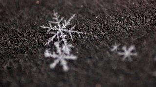 [UGCDFW-CJ-weather]Texas Snow Flakes!