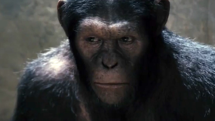 apes-722